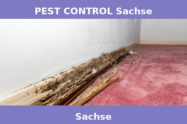 PEST CONTROL Sachse